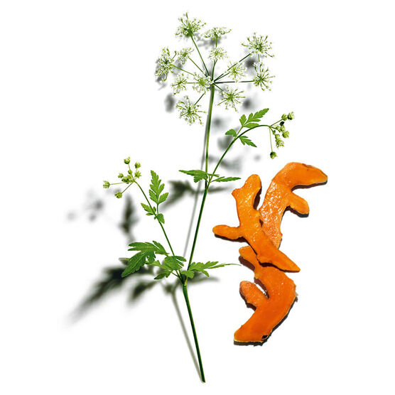 CLARINS    SERUM              30ML